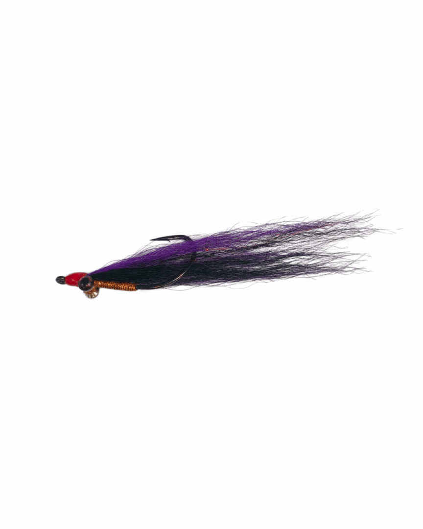 Xplorer Tiger Clouser 2/0 - Image 3