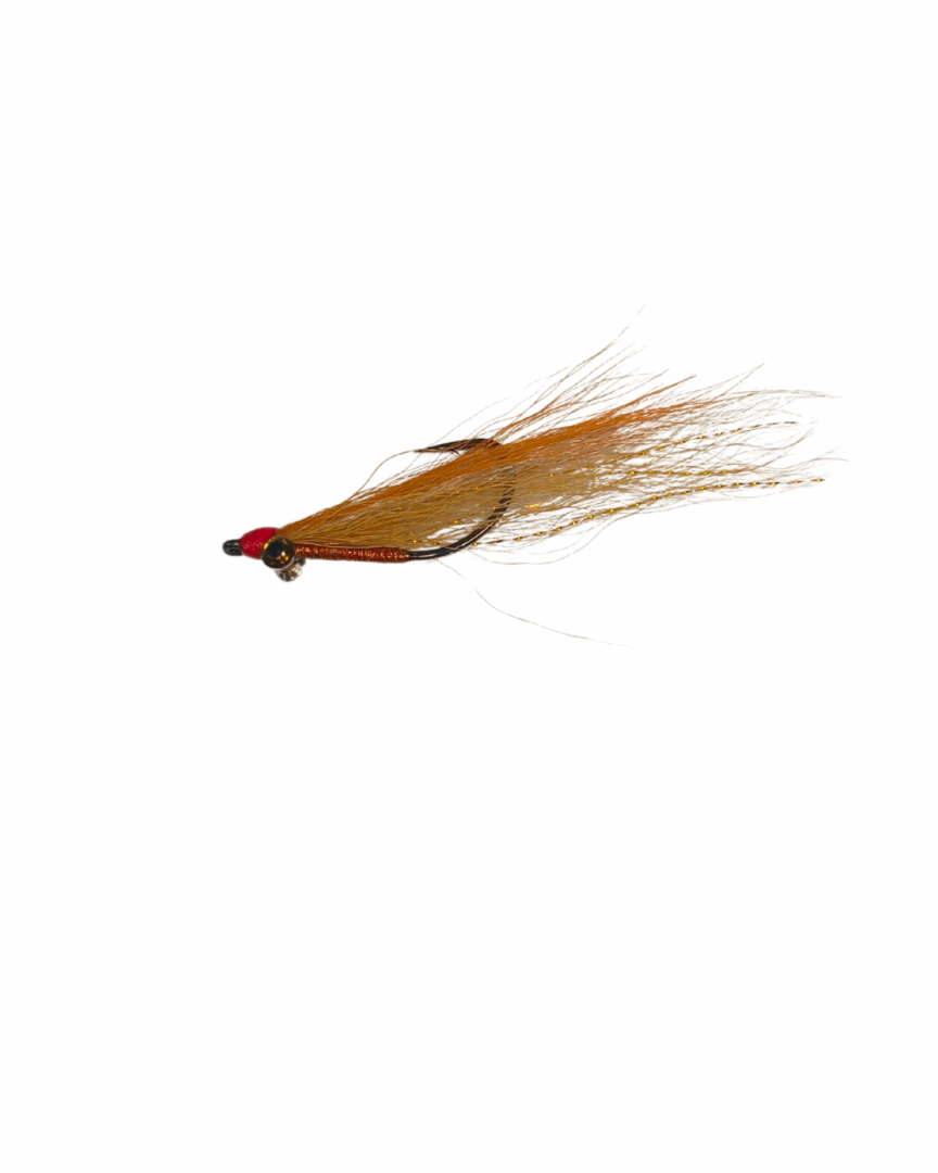 Xplorer Tiger Clouser 2/0 - Image 4