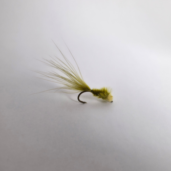 Kamberg Nymph Olive