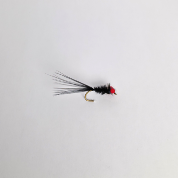 Red eye booby damsel