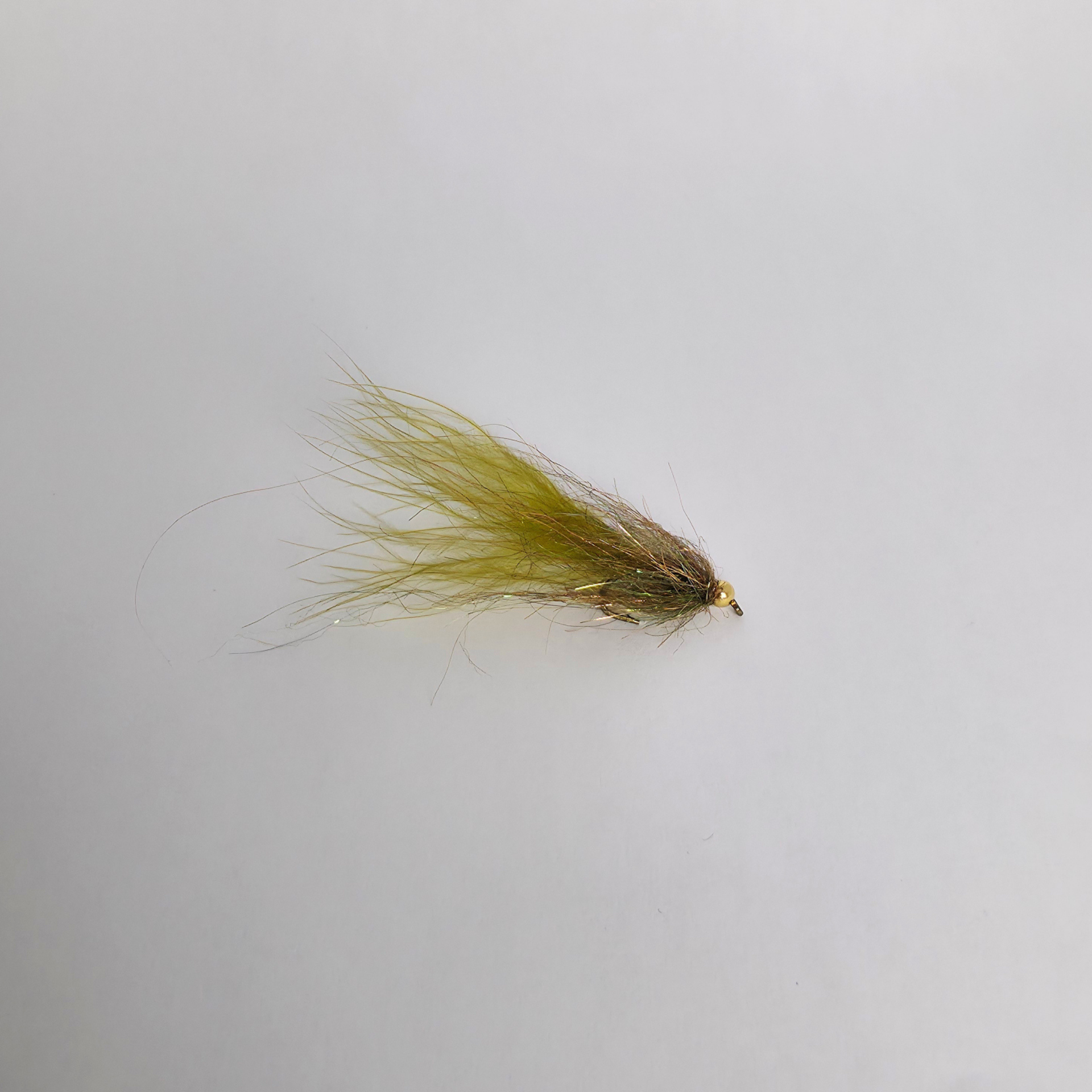 Leech